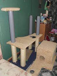 pin na doske kotejki