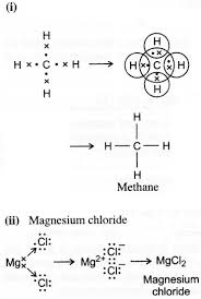 As two electrons are lost by magnesium atom while one chlorine atom can gain only one electron, two atoms of chlorine combine with one atom of magnesium to form magnesium chloride. Draw An Electron Dot Diagram To Show The Formation Of Each Of The Following Compounds I Methane Ii Magnesium Chloride Sarthaks Econnect Largest Online Education Community
