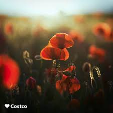 List of costco stores locations in canada. Souvenons Nous En Ce Jour Du Costco Wholesale Canada Facebook