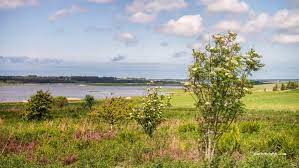 Bedsted andelsboligforening has 1 employees at this location and generates $49,000 in sales (usd). Parking Jour Uniquement Bedsted Thy 4b Nedergardsvej Denmark