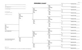 Pedigree Chart 5 Generation Legal Size