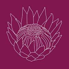 Protea Tattoo Concept By Michelle Lauren Van Den Berg Via Behance Protea Art Flower Drawing Flower Art