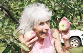 Hatches Orchard owner: Crop 'best in 50 years'