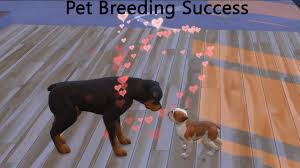 Featuring a hidden farming skill, sims can level up their farming techniques by adopting, . Mod The Sims Pet Pregnancy Success