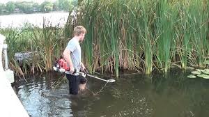 The weeders digest offers many tools to manage your lily pads. Pin On Lake