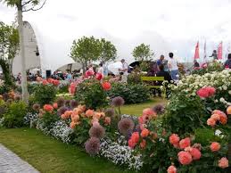 Du hast 3 möglichkeiten, von botanischer garten heidelberg nach kempten zu kommen. Bundesgartenschau 2019 In Heilbronn Ein Sommer Und Herbst Fur Gartenliebhaber Gartenpflege Tipps Ideen