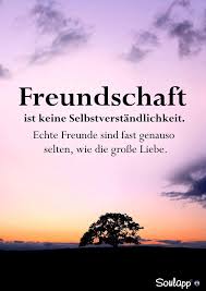 Und Beides Zusammen Unbezahlbar Und Kaum Existent Leider Spruche Uber Freundschaft Freunschaft Spruche Lebensweisheiten Spruche