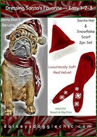 Pets Love Holidays Too Costume Dressing Up Is Easy Luxuriously Soft Santa Hat With Scarf An Charm Set View More Beautiful Hol Pet Holiday Pet Costumes Pets