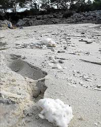 La espuma de mar se forma cuando los fuertes vientos y las grandes olas azotan las crestas de las olas. El Chapapote Blanco Del Mar