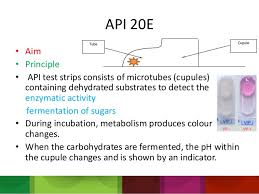 Api 20 E