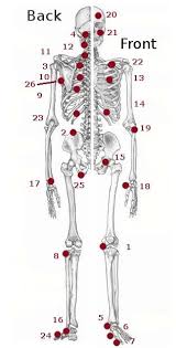 Jin Shin Jyutsu Safety Energy Locks Acupressure