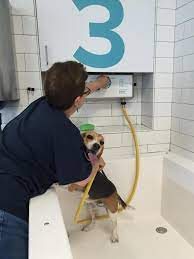 Get yourself a set of combs and brushes right for. Petsmart On Twitter It S A First For Petsmart Stores A Self Service Dog Wash Available In Our New Concept Store In Oceanside Ny