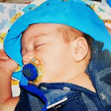 Danielle Falk Author