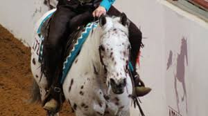 The river is named for the palouse region; 2019 World Championship Appaloosa Show Celebrating 30 Years In Fort Worth