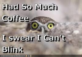 images?q=tbn:ANd9GcTNrC_Ut8mdiJp4DJhdvwPtr-A_luFubc2_TQ1kNfsxTg10xDNaIw