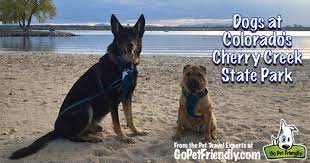 Jun 16, 2021 · colorado comeback: Visiting Colorado S Cherry Creek State Park With Dogs