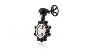 Résultat de recherche d'images pour "Series DS Butterfly Valve,"