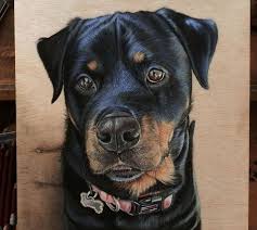 Photorealistic Drawing Wood Ivan Hoo 7 Gercekci Cizimler Hayvan Cizimi Ve Cizilecek Seyler