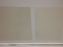 اخيرآ صور دهان السموك ايفوري والايفوري الصفحة 3 عالم حواء