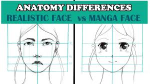 Made easy for beginners or newbies. Anatomy Differences In A Manga Face And A Realistic Face Manga Vs Realism Youtube