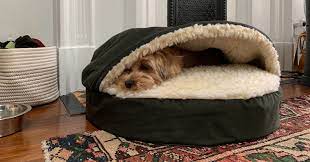 Do you own a german shredder? Best Dog Beds According To Dog Experts 2021 The Strategist New York Magazine
