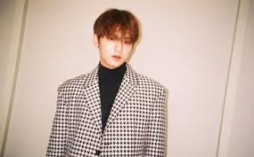Kim mingyu was talkative, he always do some adlib in going seventeen. Old95hhz8fretm