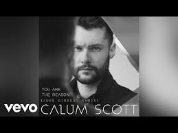 Calum Scott You Are The Reason John Gibbons Remix Audio Youtube