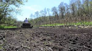 We are well stocked up with big n beasty for 2021 so you can order worry free!! Deer Food Plots In Seven Easy Steps Youtube