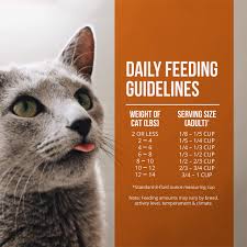 The fussie cat brand of cat food is still relatively new so there is not a great deal of information about there about the brand or its history. Amazon Com Fussie Cat Farm Fresh Dry Food