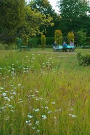 If you are planting wildflowers straight into the ground, you can till in these amendments. How To Create A Beautiful Mini Meadow Garden The Middle Sized Garden Gardening Blog
