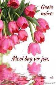 Pin By Lize Grobler On Afrikaans Beautiful Flowers Pretty Flowers Tulips