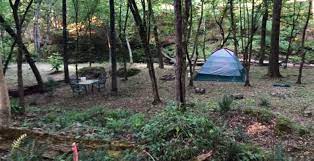 Fido can join in on the fun because talladega national forest is pet friendly. Best Camping In And Near Talladega National Forest