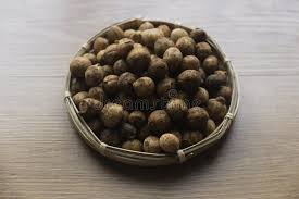 Image result for Vigna subterranea