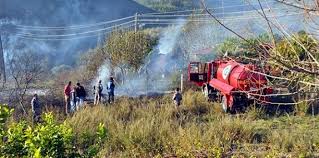 Çiftliğinin yanında çıkan yangın nedeniyle büyük panik yaşayan manken tuğba. Tugba Ozay In Manavgat Taki Ciftligi Yanmaktan Son Anda Kurtuldu Gundem Ileri Gazete