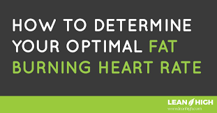 Calculate Your Maximum Fat Burning Heart Rate And Fat