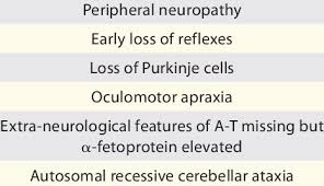 All sorts of new weapons, armors, tools, and enchantments that can be put on them. Ataxia Oculomotor Apraxia Type 2 Aoa2 Clinical Features Onset Second Download Table