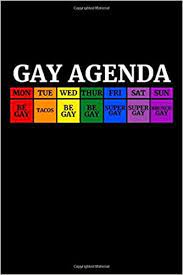 With parades, festivals, and concerts going on across the globe, there's always some way for you to get. Gay Agenda Lgbt Pride Calendar Lgbt Planner Appointment Planner And Organizer Gift For Gays Transgenders 175 Pages Amazon De Notebooks Pride Fremdsprachige Bucher