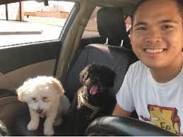 We did not find results for: Abu Dhabi Best Pet Boarding Grooming For Dogs Cats With Pickup Petbacker Abu Dhabi