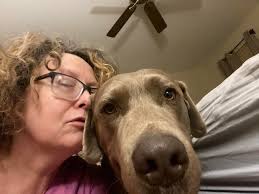 Sweet Samantha found her forever home sweet home today! This is her  parent's 3rd dog from Lab Rescue. She has a big sister named Mackie to show  her the ropes. Happy days