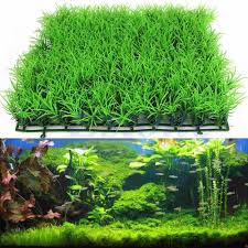 Pin On Aquarium Fish Tank Decoration
