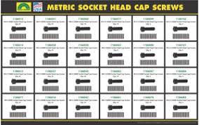 350 Piece Holo Krome Metric Socket Head Cap Screw Drawer