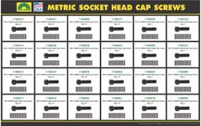 350 piece holo krome metric socket head cap screw drawer