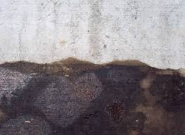 Pinesol.com has been visited by 10k+ users in the past month How To Remove Grease Stains From Concrete Prosoco