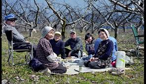 They live a long life, usually make it to 100+ years, and even die quickly and peacefully in their sleep. Longevity Secrets From Japan How To Live Longer
