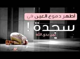 أجمل موعظة مبكية ومؤثرة صالح المغامسي islamic videos islam videos