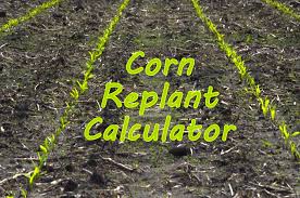 New Mobile Corn Replant Decision Aid The Bulletin Pest
