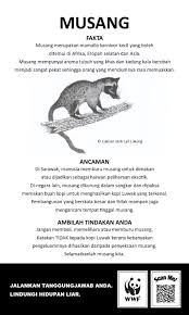 Check spelling or type a new query. Lukisan Haiwan Liar Cikimm Com