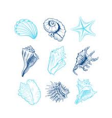 Download conch shell stock vectors. Nautilus Seashell Tattoo Vector Images 84