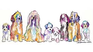 Find all dog grooming services near you in bentonville, ar and their information. Rebecca Robinson Grooming And Boarding Llc Pet Groomer In Bentonville