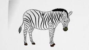 For a cleaner look, erase as if you don't really care about accuracy, then just have fun and draw the stripes any way you want. How To Draw A Zebra Step By Step Youtube